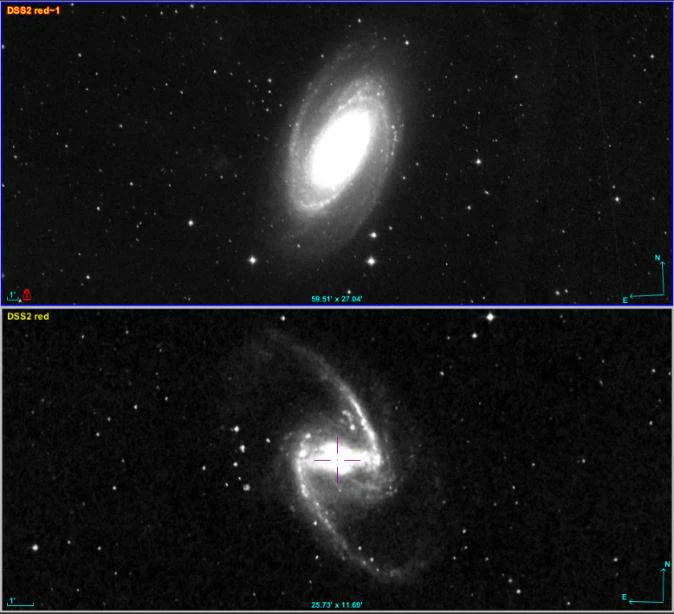 M81 y NGC 1365 en la banda roja de DSS2